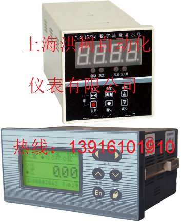 气体质量流量显示仪/控制仪